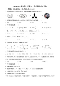 工业园区西附初中2020-2021学年初一数学下学期期中试卷（解析版）