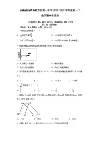 云南省曲靖市师宗县第一中学2021-2022学年七年级下学期期中数学考试卷（无答案）