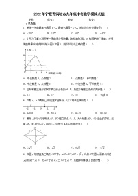 2022年宁夏青铜峡市九年级中考数学模拟试题(word版含答案)