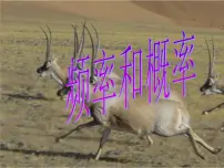 苏科版八年级下册8.3 频率与概率说课ppt课件