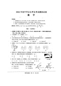 浙江省绍兴市新昌县2021-2022学年初中毕业生学业考试模拟数学试题