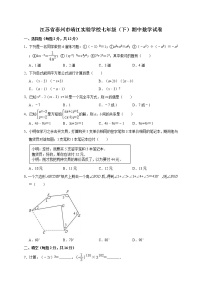 江苏省泰州市靖江实验学校七年级（下）期中数学试卷(附答案）