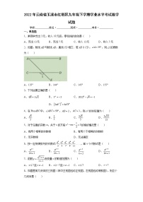 2022年云南省玉溪市红塔区九年级下学期学业水平考试数学试题(word版含答案)