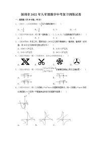 2022年广东省深圳市九年级数学中考复习训练试卷
