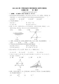 江苏省苏州市吴江区笠泽实验初级中学2021-2022学年七年级下册数学期中测试卷（含答案）