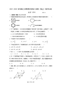 江苏省苏州工业园区星洋学校2021-2022学年八年级下册数学期中试卷（无答案）