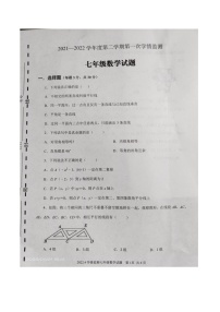 山东省济宁市金乡县2021-2022学年下学期七年级期中考试数学试题(含答案)