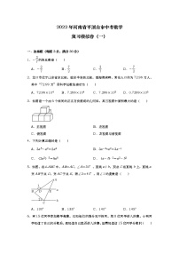 2022年河南省平顶山市中考数学复习模拟卷（一）(word版无答案)