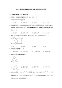 2022年河南省郑州市中考数学综合复习试卷(word版无答案)