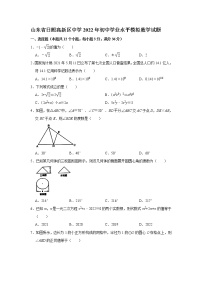 2022年山东省日照高新区中学初中学业水平模拟数学试题(word版无答案)