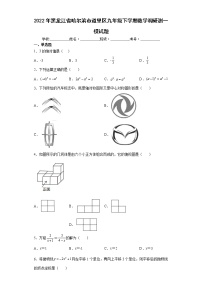 2022年黑龙江省哈尔滨市道里区九年级下学期数学调研测一模试题(word版含答案)