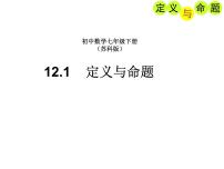 初中数学苏科版七年级下册12.1 定义与命题教课内容课件ppt