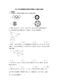 2022学年浙教版中考数学专题复习-特殊三角形