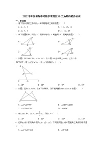 2022学年浙教版中考数学专题复习-三角形的初步认识