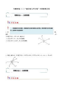 专题02 “相交线与平行线”中的思想方法-【专题突破】2021-2022学年七年级数学下学期重难点及章节分类精品讲义(人教版)