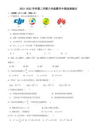 江苏省苏州市平江中学2021-2022学年八年级下学期期中数学试卷（无答案）