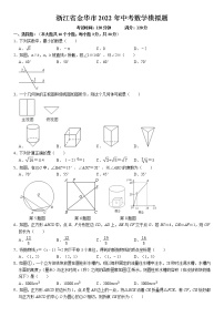 浙江省金华市2022年中考数学模拟题   无答案