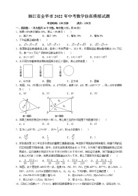 浙江省金华市2022年中考数学仿真模拟试题  无答案