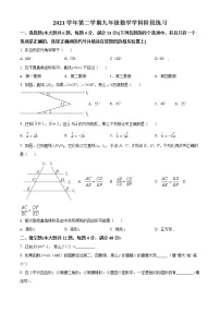 2022年上海普陀区九年级下学期中检测（中考二模）数学卷（含解析）