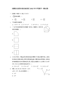 安徽省合肥市新站高新区2022年中考数学一模试卷（含解析）