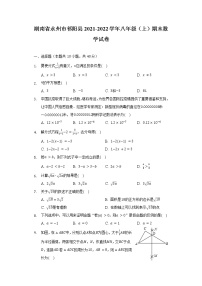 湖南省永州市祁阳县2021-2022学年八年级（上）期末数学试卷（含解析）