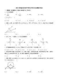 2022年浙江省杭州市临安区初中毕业升学文化模拟考试（一模）数学试题(word版无答案)