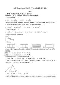 2022年安徽省池州市东至县中考模拟数学试题(word版含答案)