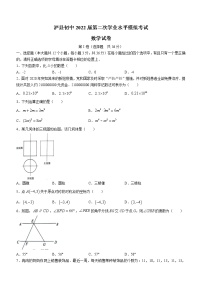 2022年四川省泸州市泸县初第二次学业水平模拟考试数学试题