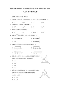 湖南省郴州市安仁县思源实验学校2021-2022学年八年级（上）期末数学试卷（含解析）