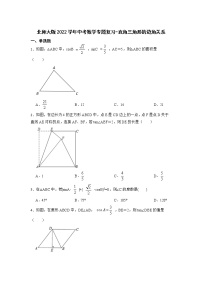 2022年北师大版中考数学专题复习-直角三角形的边角关系