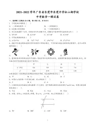 2022年广东省东莞市东莞中学松山湖学校九年级中考一模数学试卷
