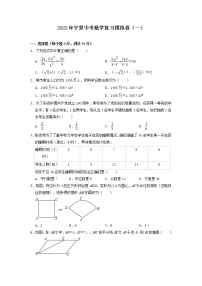 2022年宁夏中考数学复习模拟卷（一）