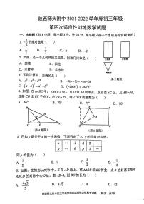 2022年陕西师大附中中考数学模拟四试题（无答案）