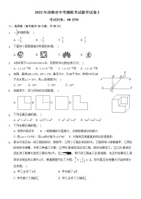 2022年广东省深圳市中考数学模拟试卷2(word版含答案)