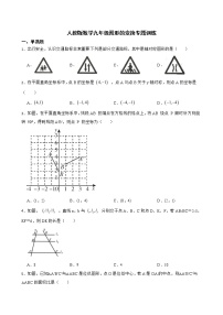 2022届人教版数学九年级图形的变换专题训练解析版