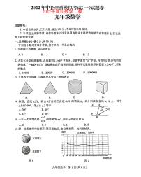 河南省平顶山市2021-2022学年九年级下学期中考二模数学试题