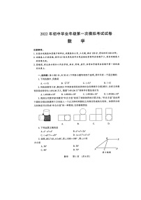 2022年河南省濮阳市初中毕业年级第一次模拟考试数学试卷