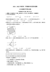 山东省青岛市崂山区育才学校2021-2022学年七年级下学期期中数学试卷（无答案）