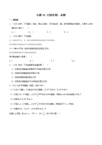 2022届中考数学专题练 专题19 尺规作图、命题