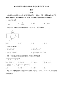 2022年山东省枣庄市中考一模数学试题