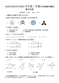 浙江省台州市书生中学2021-2022学年七年级下学期期中测试数学试题(word版含答案)