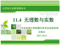 2020-2021学年11.4 无理数与实数教案配套ppt课件