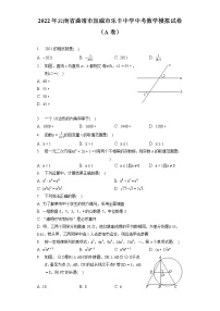 2022年云南省曲靖市宣威市乐丰中学中考数学模拟试卷（A卷）（含答案解析）