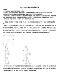 2022年山东省莒县中考一模数学试题含解析