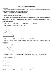 2022年四川省仪陇县中考数学对点突破模拟试卷含解析