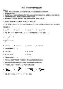 2021-2022学年北京市大兴区名校中考数学最后冲刺模拟试卷含解析