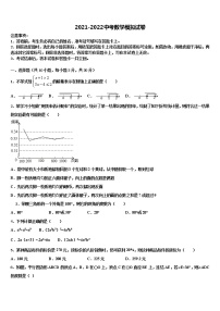 陕西省武功县重点名校2022年中考数学押题卷含解析