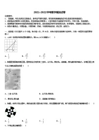 2021-2022学年【全国百强校首发】湖南省师范大附属中学中考猜题数学试卷含解析