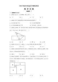 2022年浙江省宁波市初中学业水平模拟考试数学试题