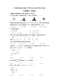 2022年广东省东莞市石龙第三中学九年级下学期数学一模试卷